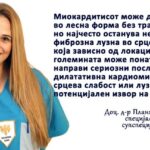 planinka-ficers