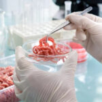 listeria 166