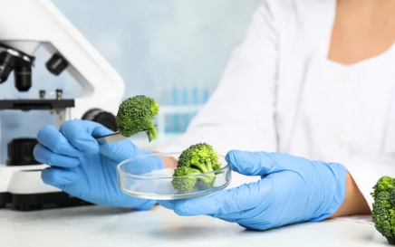 listeria 17