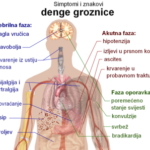 Dengue_fever_symptoms_(hrv.)