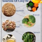 Food-Sources-Of-CoQ-10-724×1024