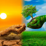 tree-two-hands-with-very-different-environments-earth-day-world-environment-day-global-warming-pollution