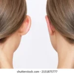 cropped-shot-womans-head-ears-260nw-2151875777