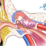 neurosurgeronsofnewjersey-pulsatile-tinnus-cases