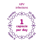 3HPV-infekcija-ENG