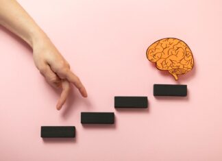 МОЗОКОТ ПОМИНУВА НИЗ ПЕТ ФАЗИ ВО ТЕКОТ НА ЧОВЕЧКИОТ ЖИВОТ