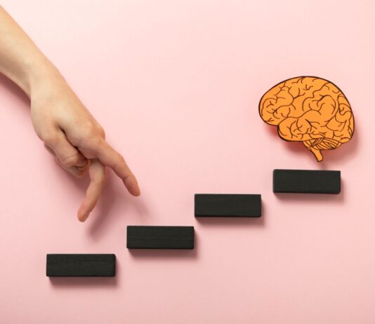 МОЗОКОТ ПОМИНУВА НИЗ ПЕТ ФАЗИ ВО ТЕКОТ НА ЧОВЕЧКИОТ ЖИВОТ