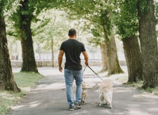 КОЛКУ МИНУТИ НА ДЕН ТРЕБА ДА ПЕШАЧИТЕ ЗА ДА СПРЕЧИТЕ БОЛКИ ВО ДОЛНИОТ ДЕЛ ОД ГРБОТ?
