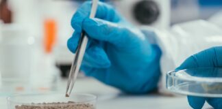 НАУЧНИЦИТЕ ПРОНАЈДОА ДОКАЗИ: РИМЈАНИТЕ КОРИСТЕЛЕ ЧОВЕЧКИ ИЗМЕТ КАКО ЛЕК