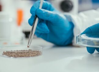 НАУЧНИЦИТЕ ПРОНАЈДОА ДОКАЗИ: РИМЈАНИТЕ КОРИСТЕЛЕ ЧОВЕЧКИ ИЗМЕТ КАКО ЛЕК