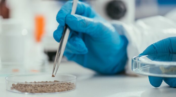 НАУЧНИЦИТЕ ПРОНАЈДОА ДОКАЗИ: РИМЈАНИТЕ КОРИСТЕЛЕ ЧОВЕЧКИ ИЗМЕТ КАКО ЛЕК