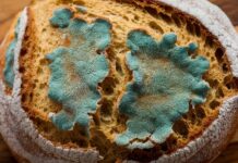 МУВЛОСАН ЛЕБ – ДАЛИ Е ДОВОЛНО САМО ДА СЕ ОТСТРАНИ ДАМКАТА ИЛИ ТРЕБА ДА СЕ ФРЛИ ЦЕЛИОТ ЛЕБ?