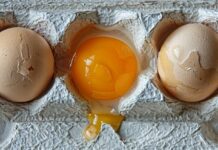 КАКО ДА ПРОВЕРИТЕ ДАЛИ ЈАЈЦАТА СЕ СВЕЖИ: ТЕСТ СО ВОДА И ДРУГИ НАЧИНИ ДА ОТКРИЕТЕ ДАЛИ СЕ БЕЗБЕДНИ ЗА ЈАДЕЊЕ